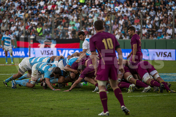 PUMAS VS INGLATERRA (SALTA)