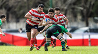 TORNEO DEL INTERIOR