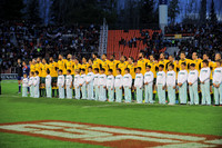 PUMAS VS WALLABIES