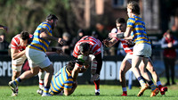 ALUMNI 24 vs HINDU 19