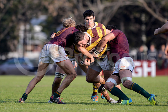 URBA TOP14 2016