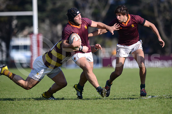 URBA TOP14 2016