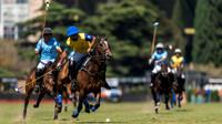 CRIA LA DOLFINA 11 vs LA IRENITA CLINOVA 9