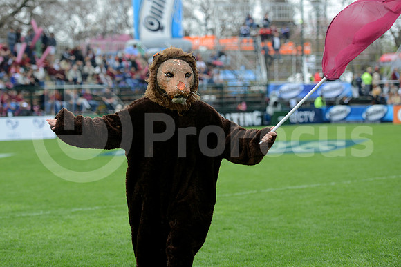 URBA TOP 14 2013