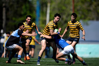 M 19 REGATAS 31 vs CUBA 28