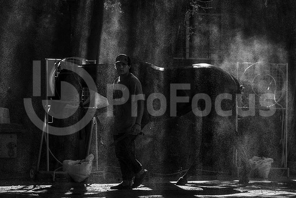 120º Abierto Argentino de Palermo