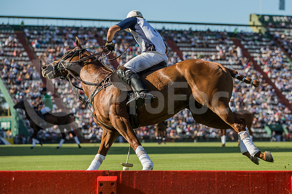 120º Abierto Argentino de Palermo