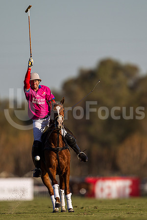 POLO - ABIERTO TORTUGAS 2013