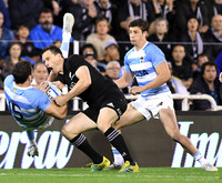 PUMAS-ALL BLACKS 29-09-2018
