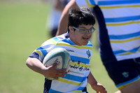 RUGBY PREMIX