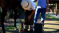 SOTOGRANDE 2014 (COPA DE ORO)