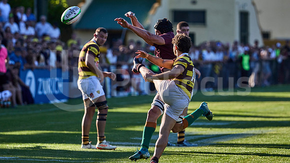 Semifinal - URBA Top 12 Copa Macro - Newman ante Belgrano Athletic 27 a 28