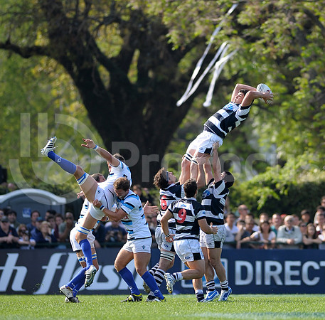 URBA TOP 14