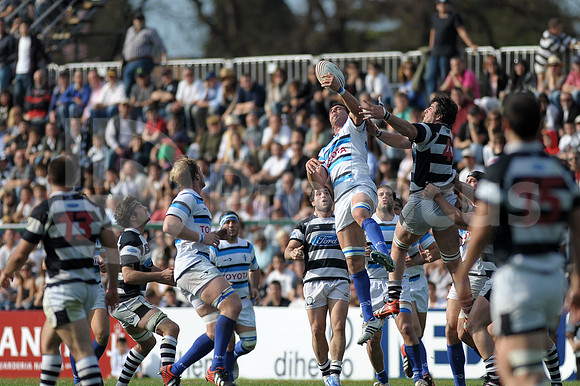 URBA TOP 14