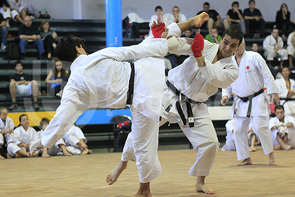 Karate