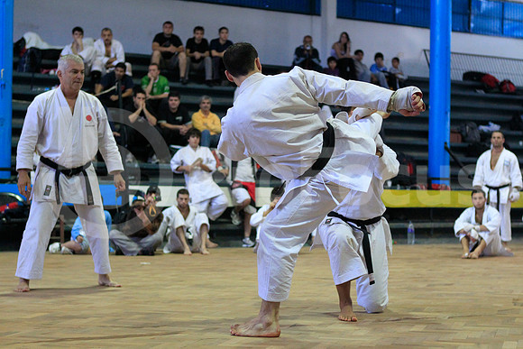 Karate