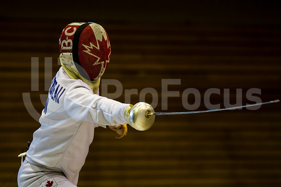 Mundial de Esgrima 2013