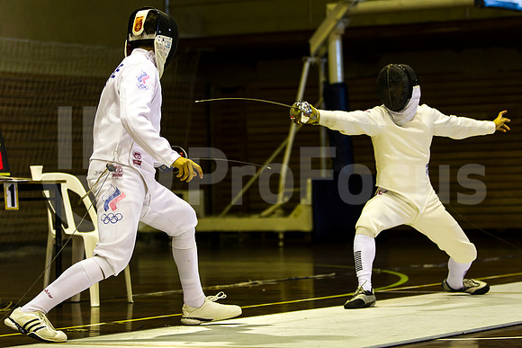 Mundial de Esgrima 2013