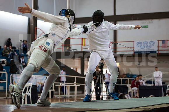 Mundial de Esgrima 2013