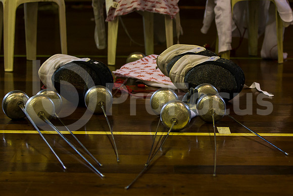 Mundial de Esgrima 2013