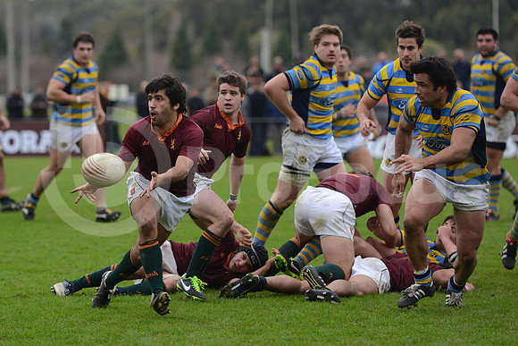 URBA TOP 14 2013