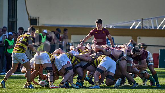 Semifinal - URBA Top 12 Copa Macro - Newman ante Belgrano Athletic 27 a 28