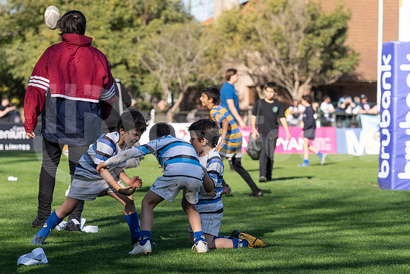 Don Torcuato- Buenos Aires- Argentina, 13 de Agosto del 2022, URBA TOP 13, HINDUvs SIC: En un partido por la fecha 18 del URBA TOP 13 se enfrentaron HINDU 35 vs SIC 24