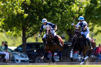 LA DOLFINA 17 vs 5 LA ENSENADA
