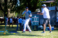 LA DOLFINA 17 vs 14 LAS MONJITAS