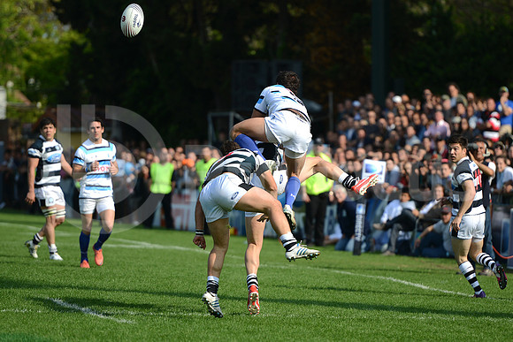 URBA TOP 14