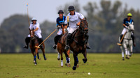 LA DOLFINA POLO RANCH vs LA ESQUINA LM NAVARRO CORREA