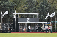 ELLERSTINA-ALEGRIA