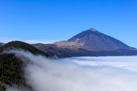 TENERIFE