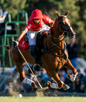 LA DOLFINA BRAVA 17 vs CHAPALEUFU 10
