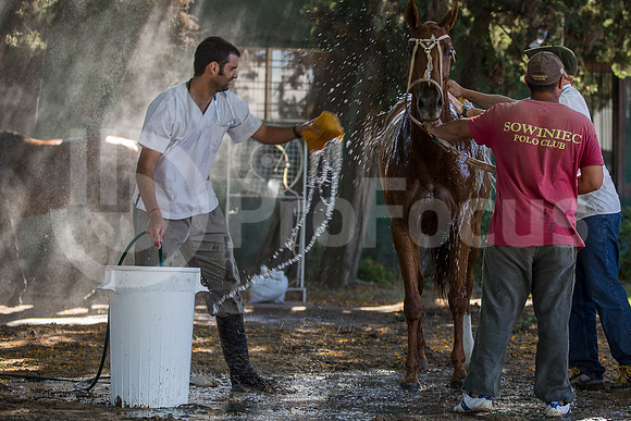 120º Abierto Argentino de Polo