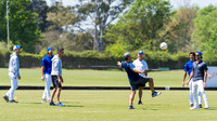 ELLERSTINA 23 vs ALEGRIA 7