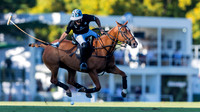 ELLERSTINA 14 vs 9 CRIA YATAY