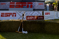 ELLERSTINA vs ALEGRIA