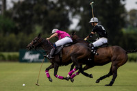 ELLERSTINA vs ALEGRIA