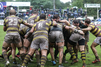 BELGRANO PHARMATOM
