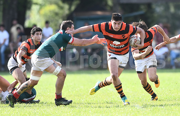 URBA Primera A.