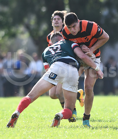 URBA Primera A.