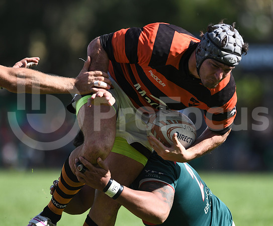 URBA Primera A.