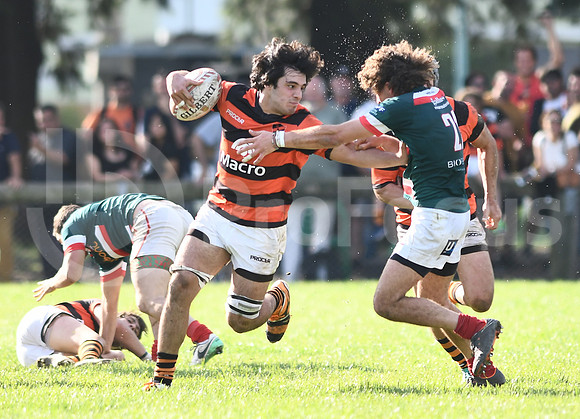 URBA Primera A.