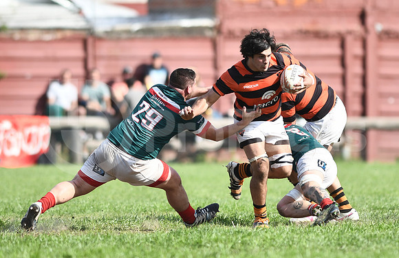 URBA Primera A.