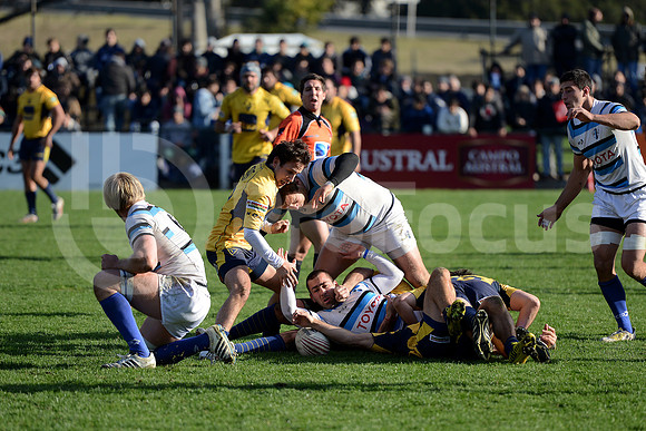 URBA TOP 14 2013