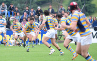 HINDU 2014
