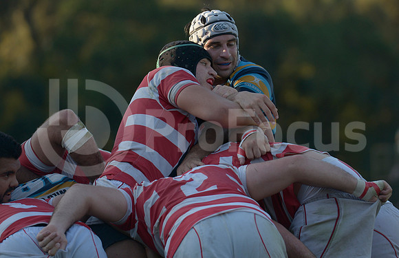 TORNEO URBA 2015