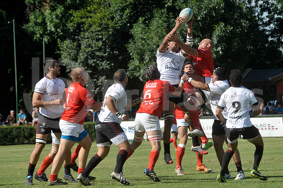Campeonato Argentino 2014