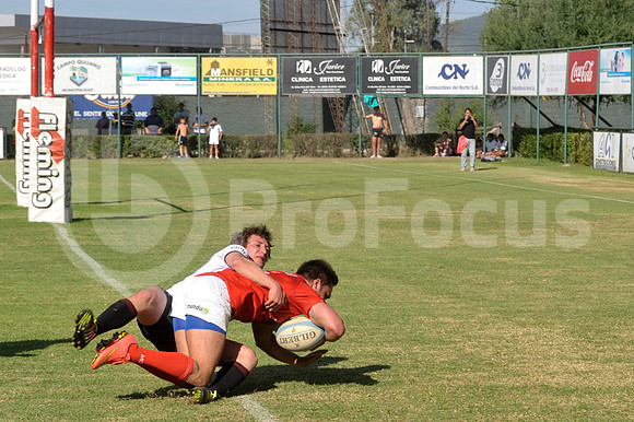 Campeonato Argentino 2014